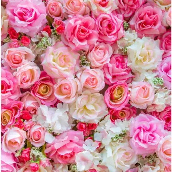 Meet your Posher, Sean - Picture 2 of 2